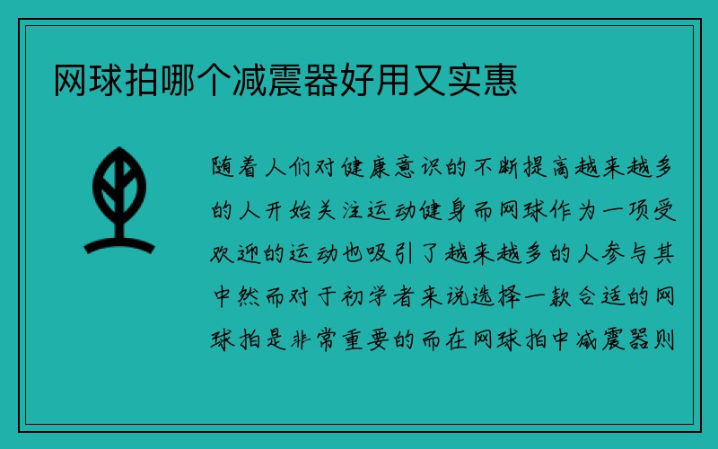 网球拍哪个减震器好用又实惠