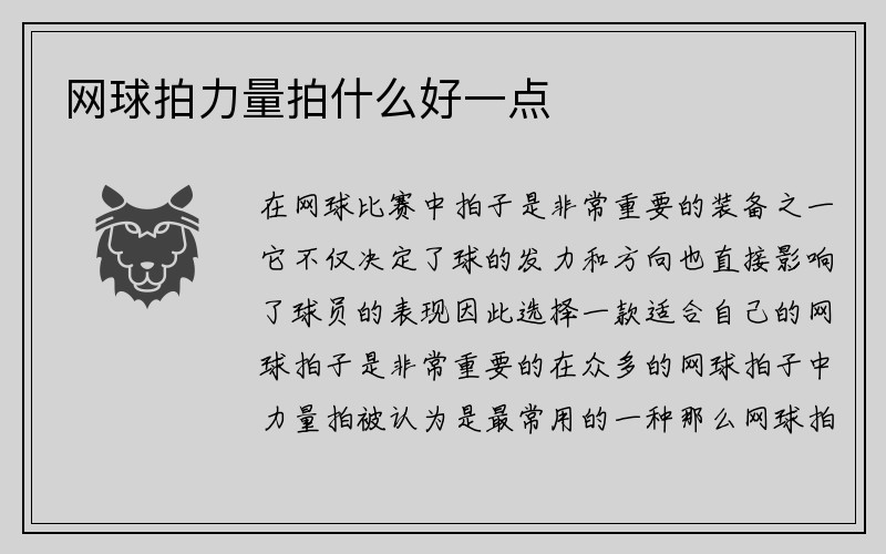 网球拍力量拍什么好一点