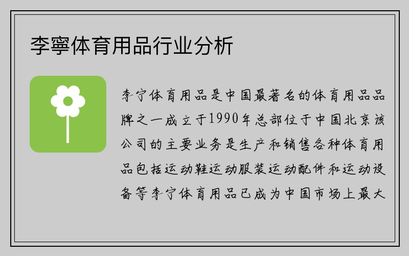 李寧体育用品行业分析