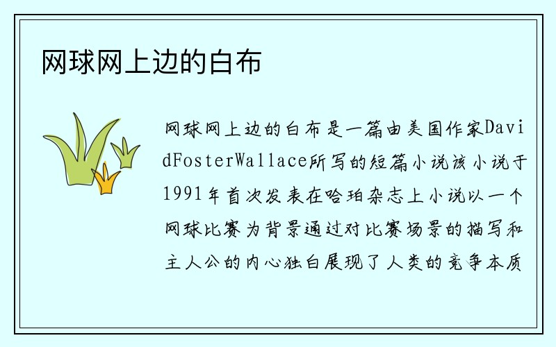 网球网上边的白布