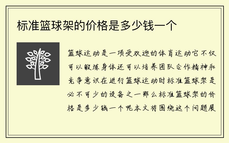 标准篮球架的价格是多少钱一个